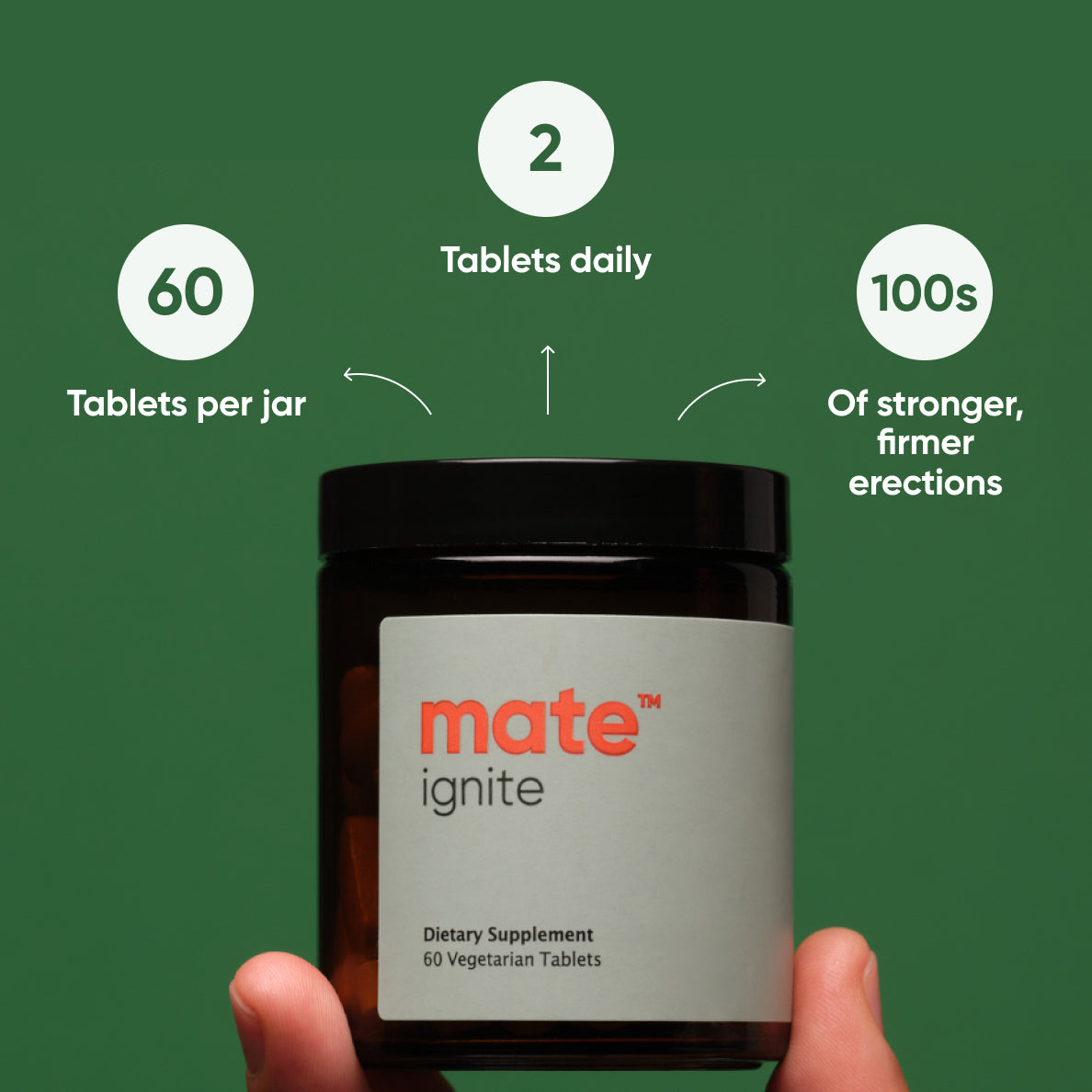 mate ignite